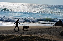 海辺の散歩