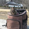 ここは何処