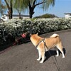 こっちだよ