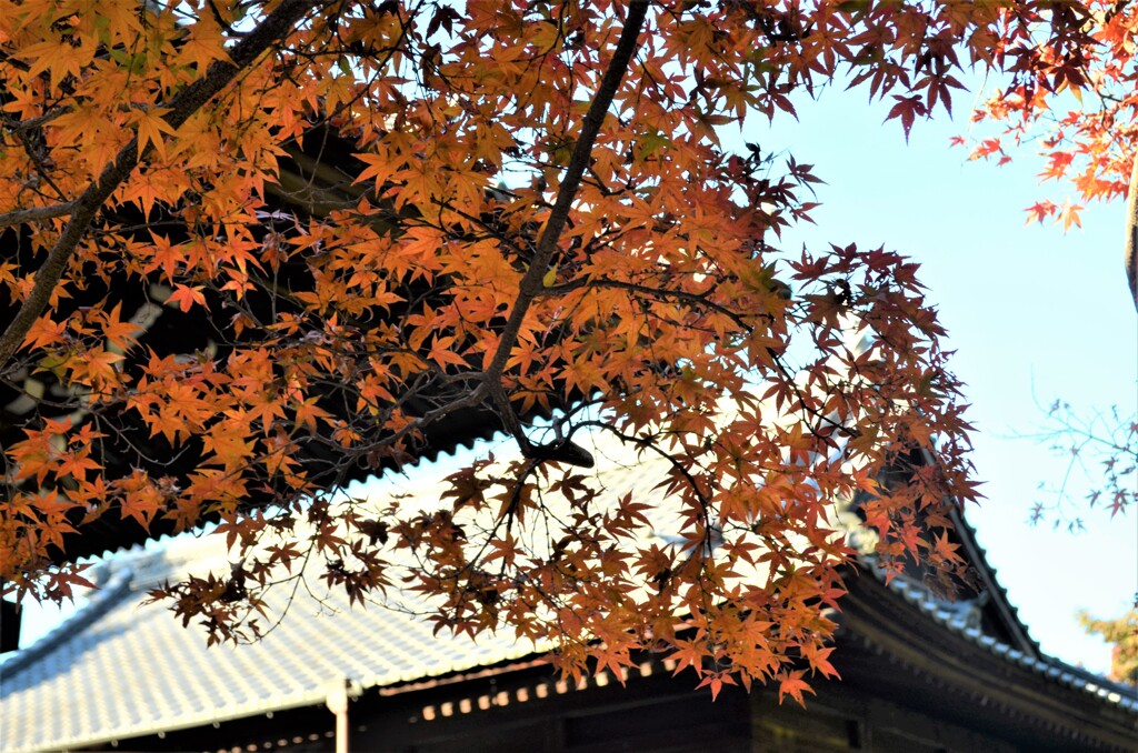 寂光院②