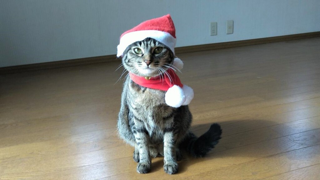 メリークリスマス