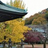 貞照寺