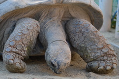 申し訳ありません