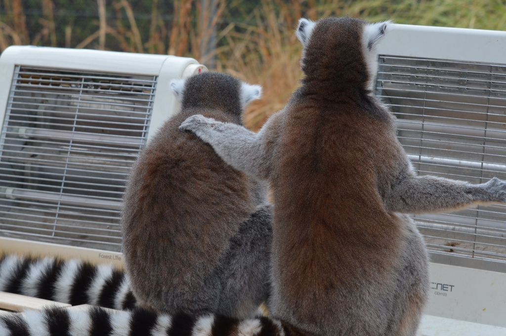 くよくよしない