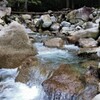 渓流釣り③