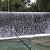 渓流釣り①