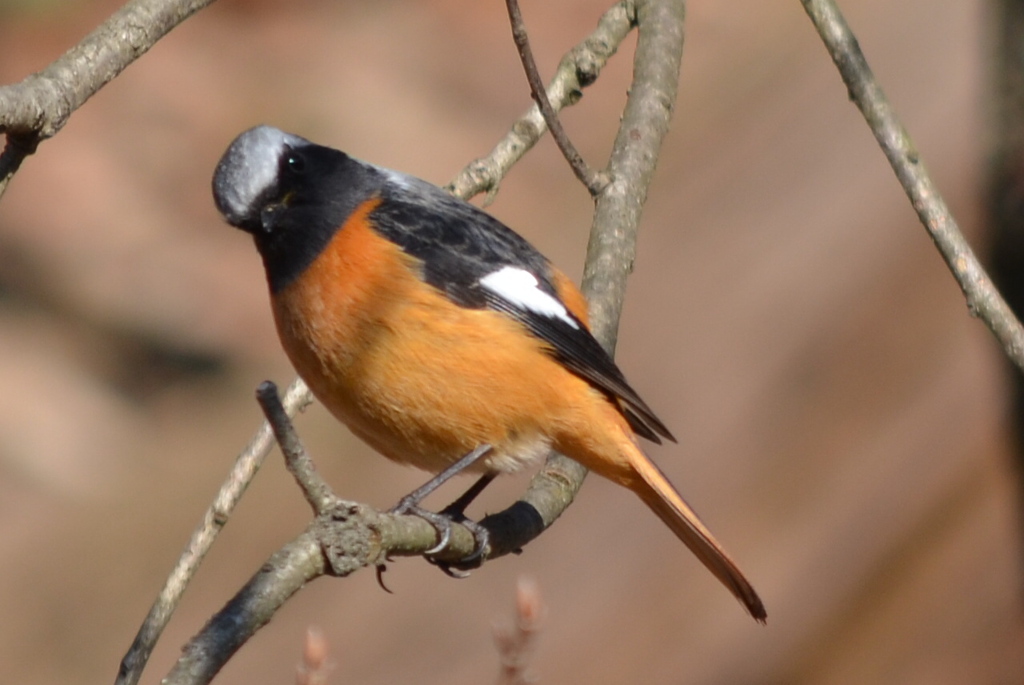 何か問題でも？