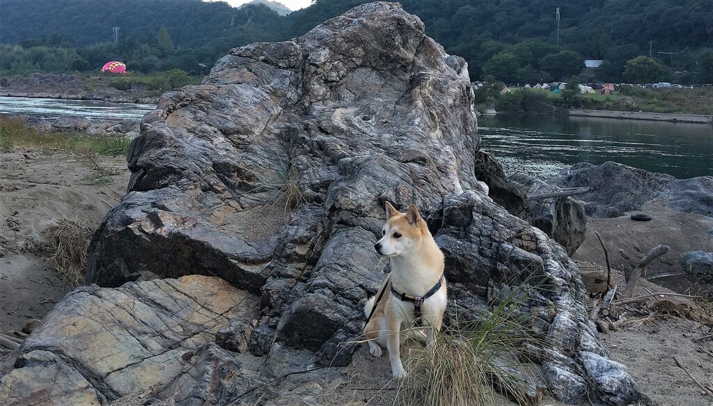 木曽川のシャバーニ―