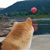 気球