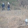 鳴りを潜めて
