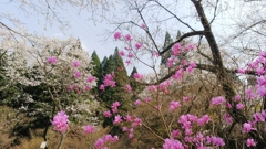 里山の賑わい！