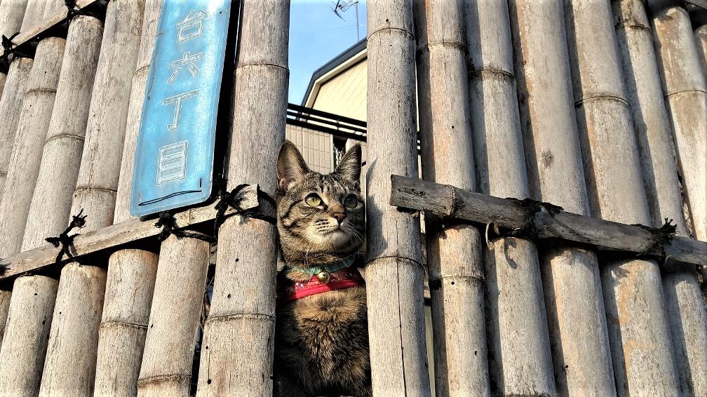 外の眺め