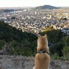 我が町