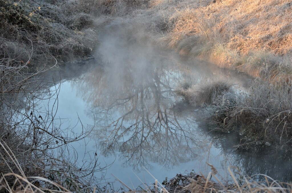朝陽指す