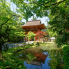 室生寺 仁王門