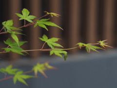 和