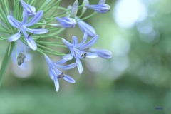 吐息