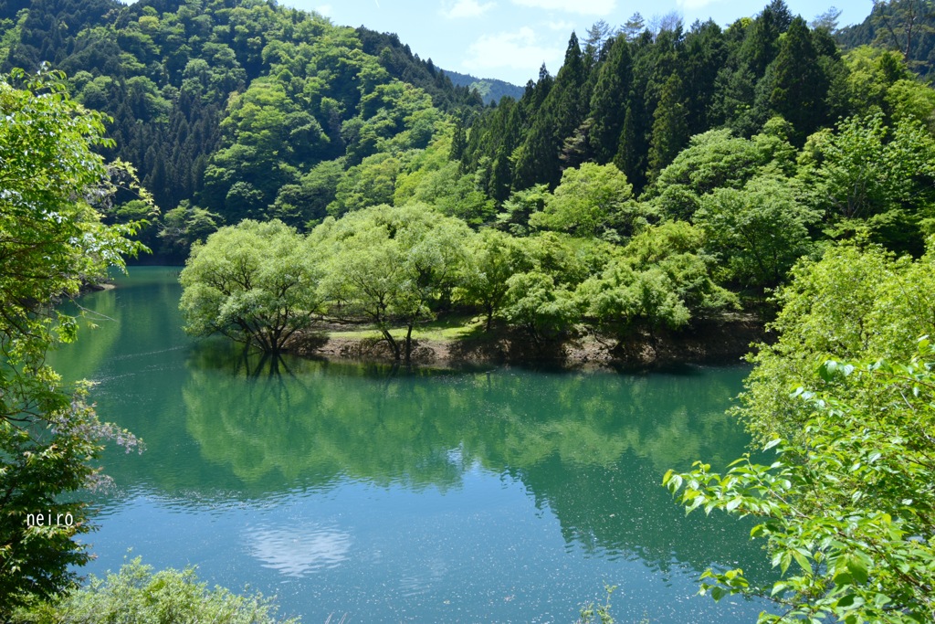 enjoy green