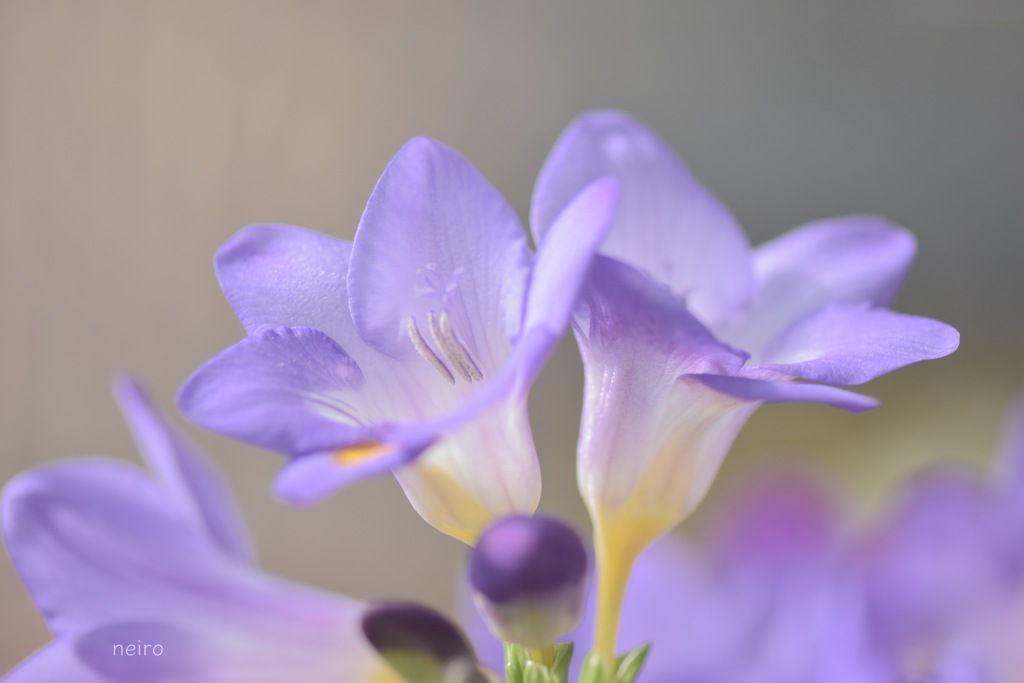 やさしさがあふれる