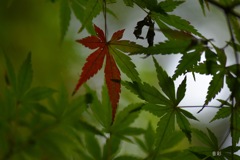 未完成