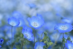 みんなで歌おう。