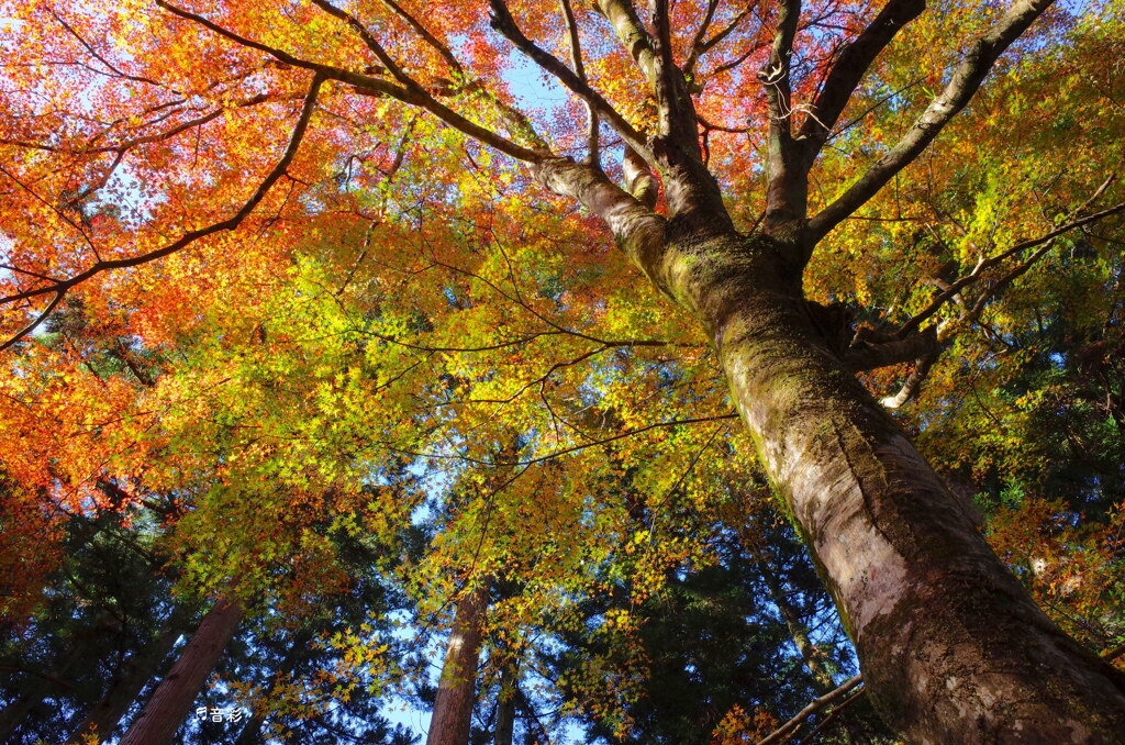 Autumn is in the air
