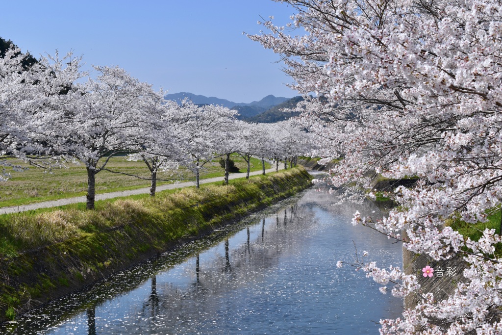春風にのって
