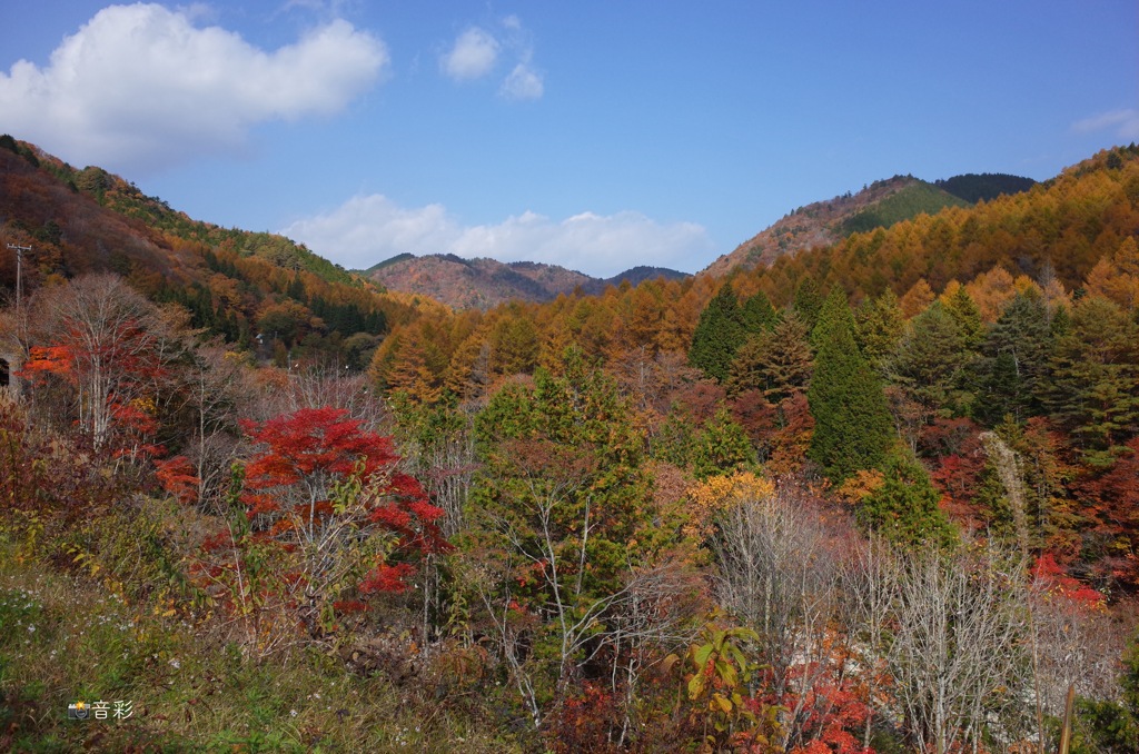 山は秋色