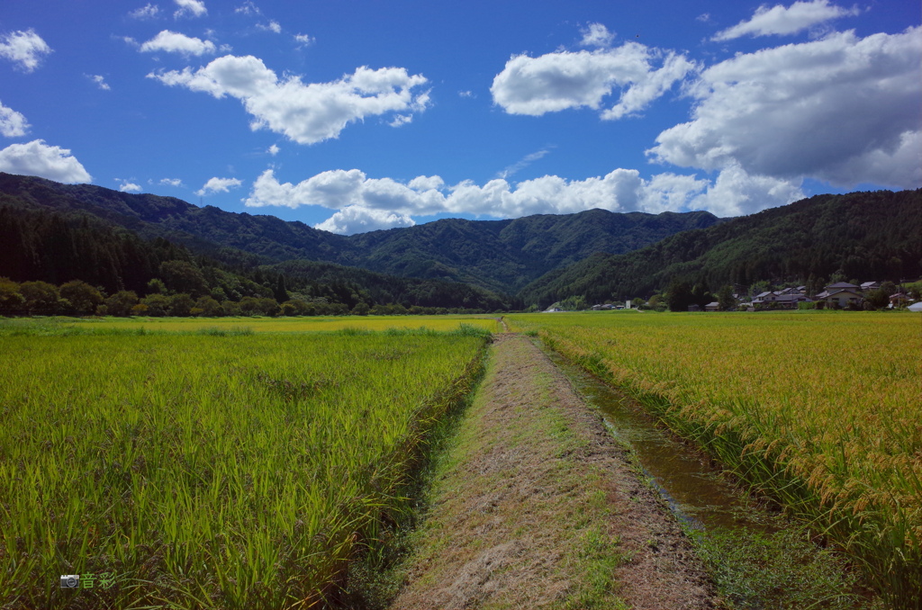 夏の終わりと秋の始まり