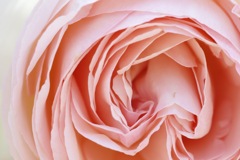 20220527115650__MG_4312