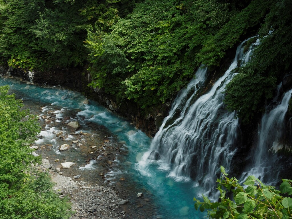 白ひげの滝