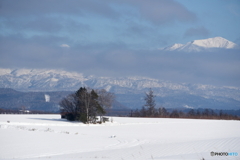 遠望大雪山