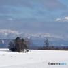 遠望大雪山