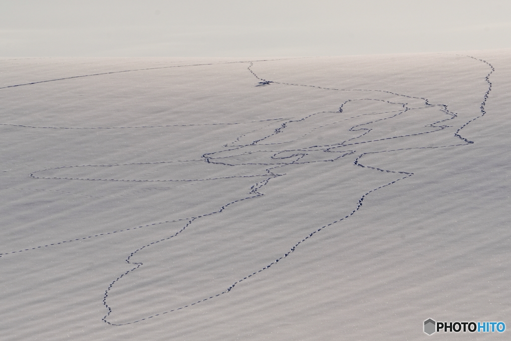 ゆめの跡　－Ⅲ　