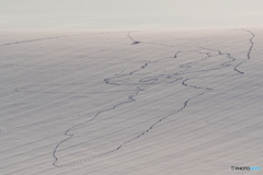 ゆめの跡　－Ⅲ　