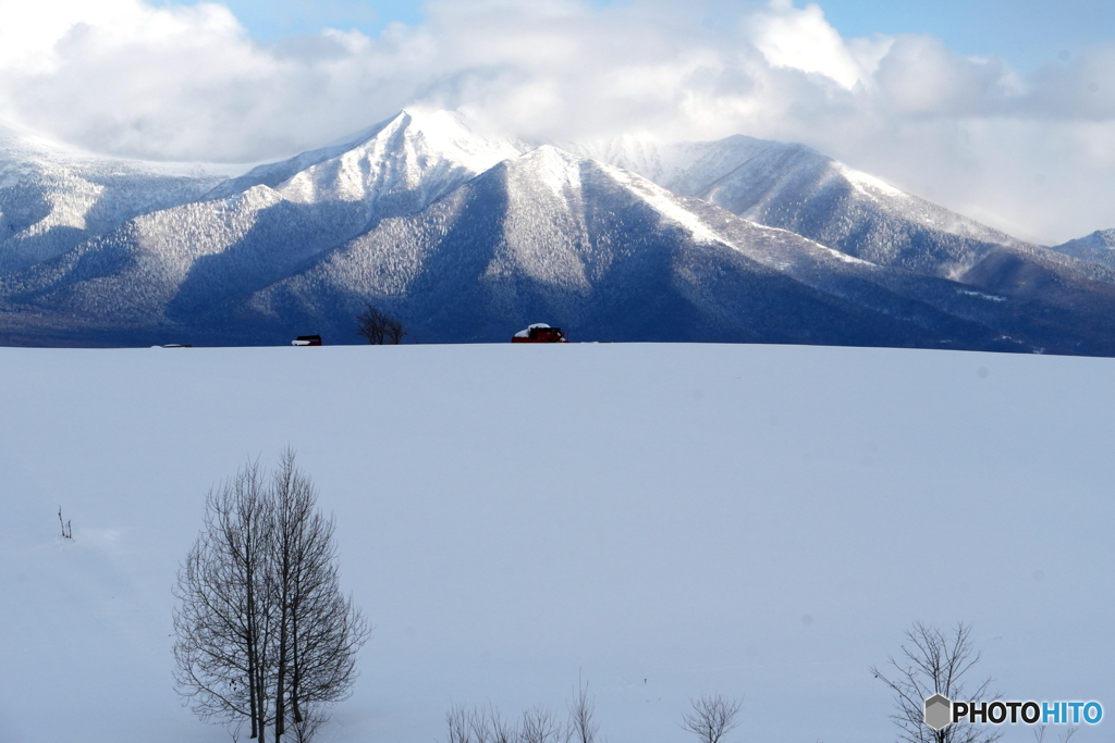 雪山へ続く風景