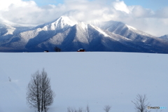 雪山へ続く風景