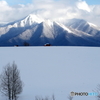 雪山へ続く風景