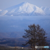迫る積雪