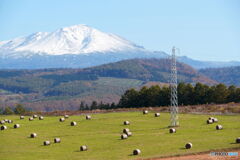 冠雪と二番草