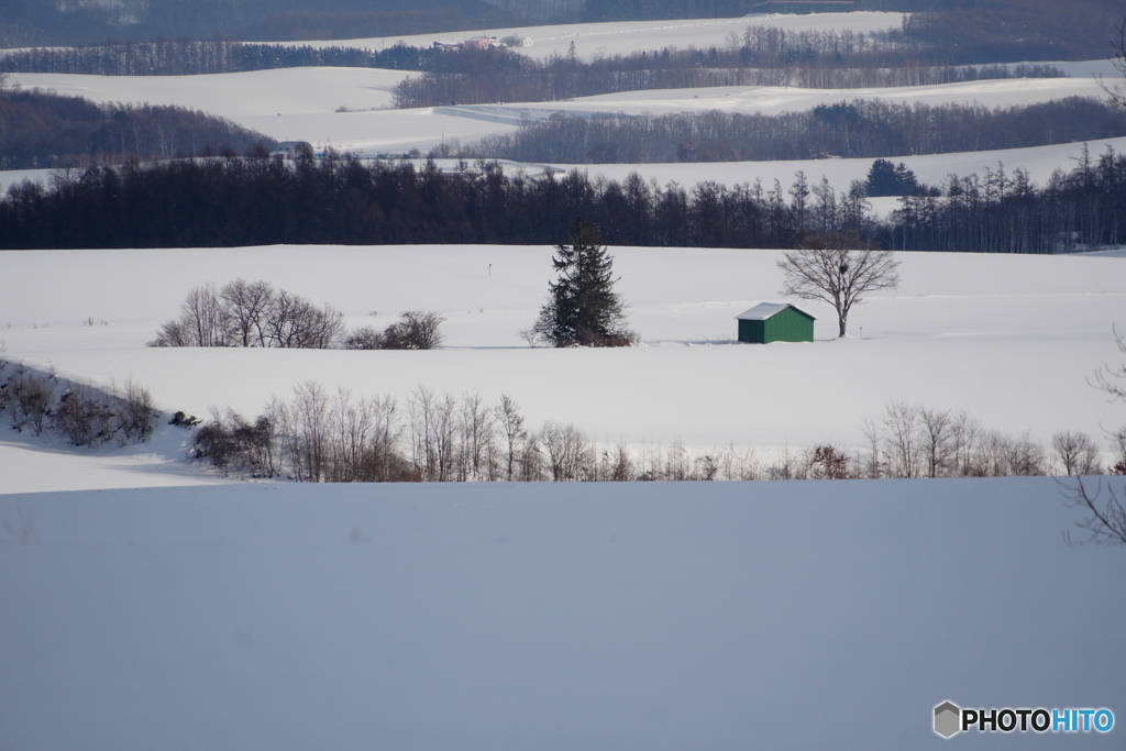 遠望　緑の小屋