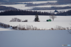 遠望　緑の小屋