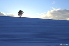 雪原の蒼