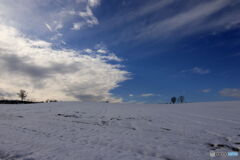雪に被われた大地