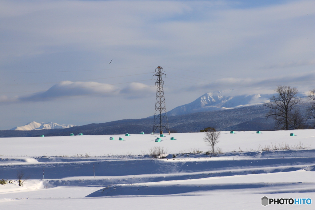 牧草地のロール