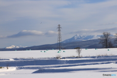 牧草地のロール
