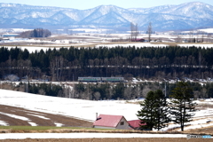 赤い屋根と気動車　－Ⅱ