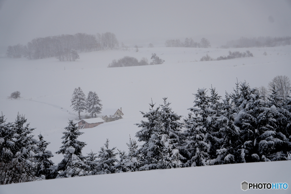 雪に包まれる丘