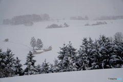 雪に包まれる丘