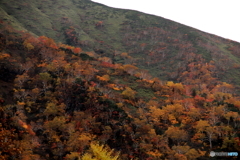 彩どりの山裾